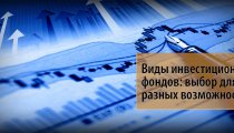 Виды инвестиционных фондов в РФ