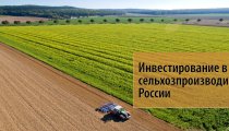 Инвестирование в акции сельхозпроизводителей России